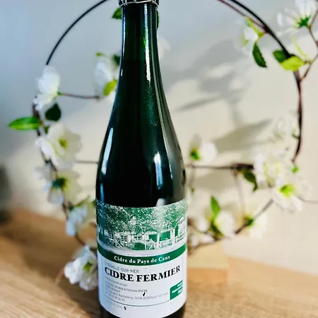 Apartament Dalikyda Lolivier Familiale 300m De La Gare Hawr