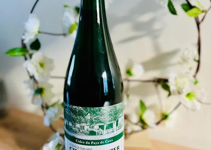 Apartament Dalikyda Lolivier Familiale 300m De La Gare Hawr